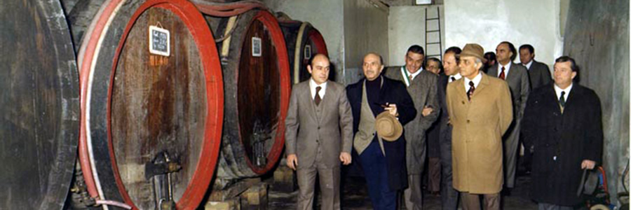 Rosso Piceno Superiore - Storia - Tenuta Cocci Grifoni